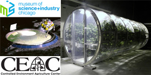 MoonGreenhouse0812