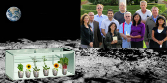 Plants On Moon