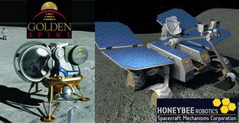 GoldenHoneybeeRobot0714